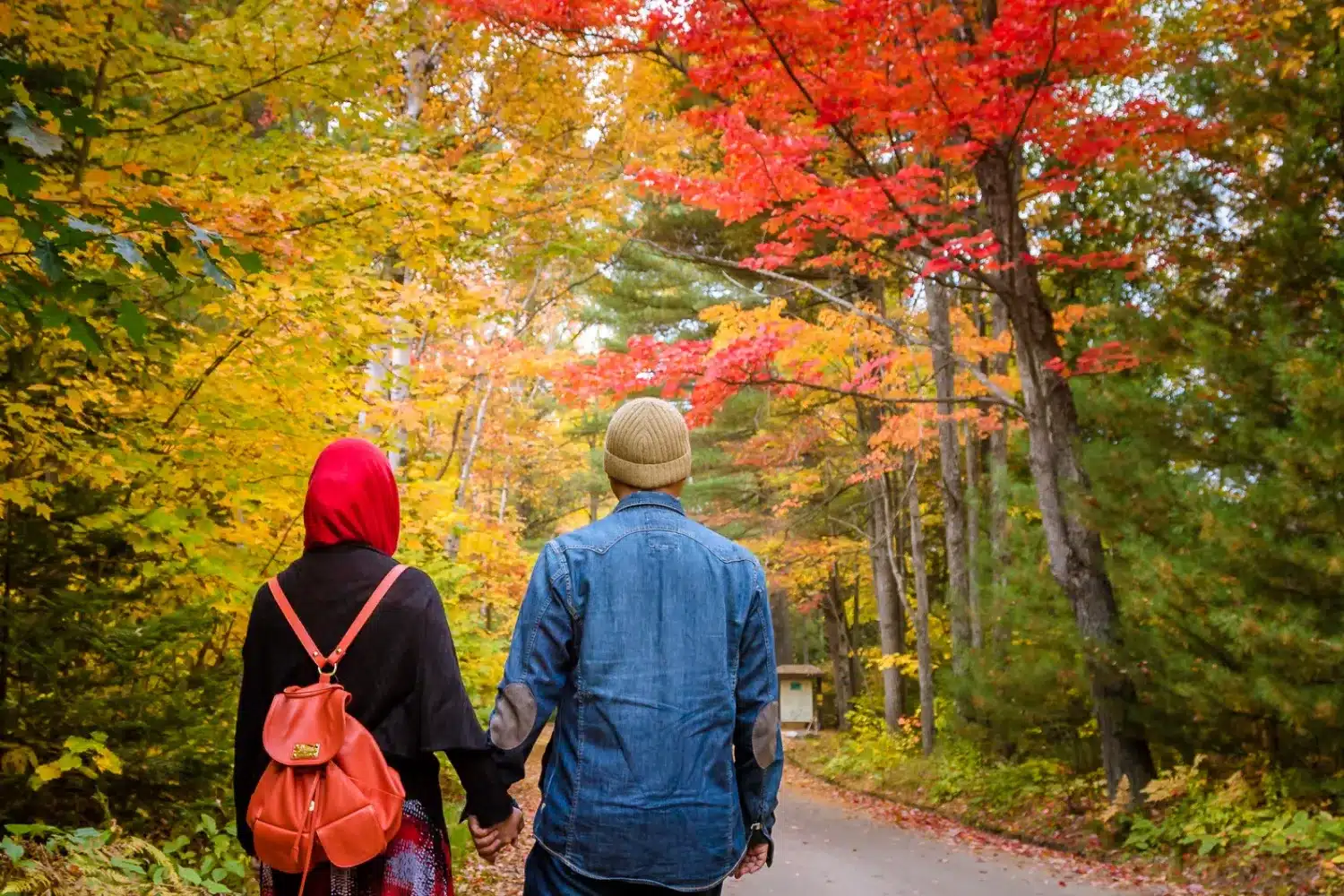 couple musulman marchant dans un jardin au canada
