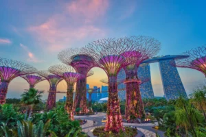 Singapour image des fleurs illuminé dans le grand parc