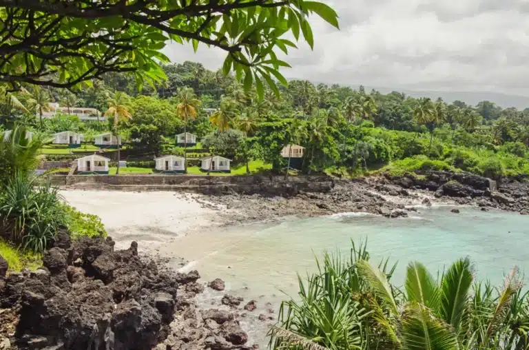 image avec vue sur la nature des Comores plage paradisiaque