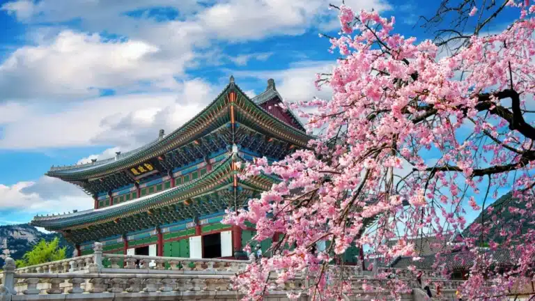 image de seoul avec un temple et un arbre Sakura