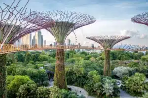 panorama sur Singapour le grand parc avec les arbres artificiel
