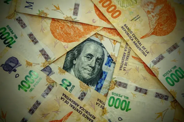 Gros plan sur des billets de pesos argentins et de dollars américains, illustrant la diversité de la monnaie en circulation en Argentine.