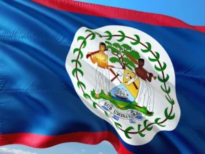 Drapeau du Belize flottant au vent, avec blason central entouré de feuilles vertes, sur fond bleu bordé de rouge sous un ciel dégagé