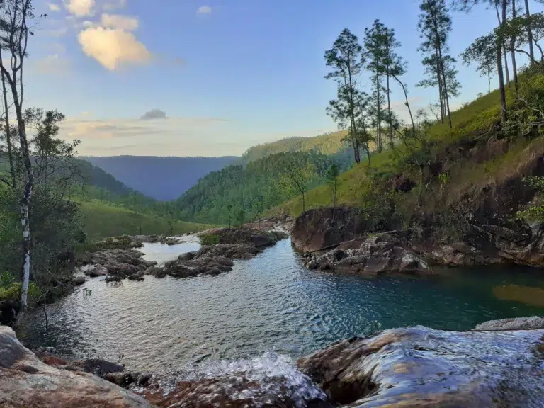 Paysage naturel de la réserve Mountain Pine Ridge au Belize avec vue sur les montagnes, rivière et pins, capturé lors de la meilleure période pour visiter le pays