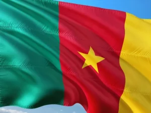 Drapeau du Cameroun flottant au vent avec ses couleurs vert, rouge et jaune