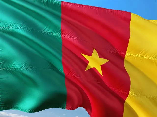 Drapeau du Cameroun flottant au vent avec ses couleurs vert, rouge et jaune