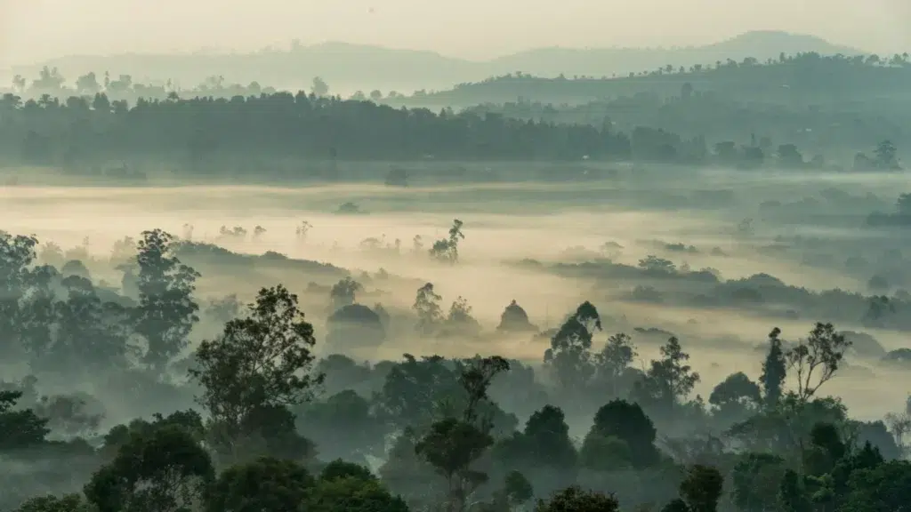 Paysage naturel du Cameroun avec brume, représentant la richesse culturelle et la langue au Cameroun
