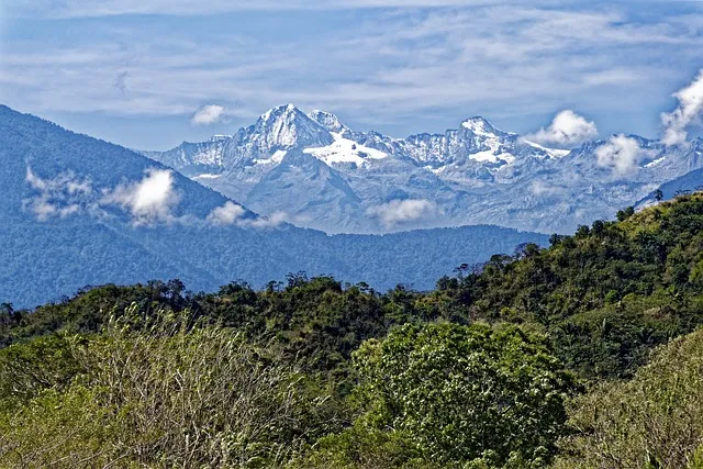 Paysage Colombie montrant la cordillère des Andes enneigée et la forêt tropicale