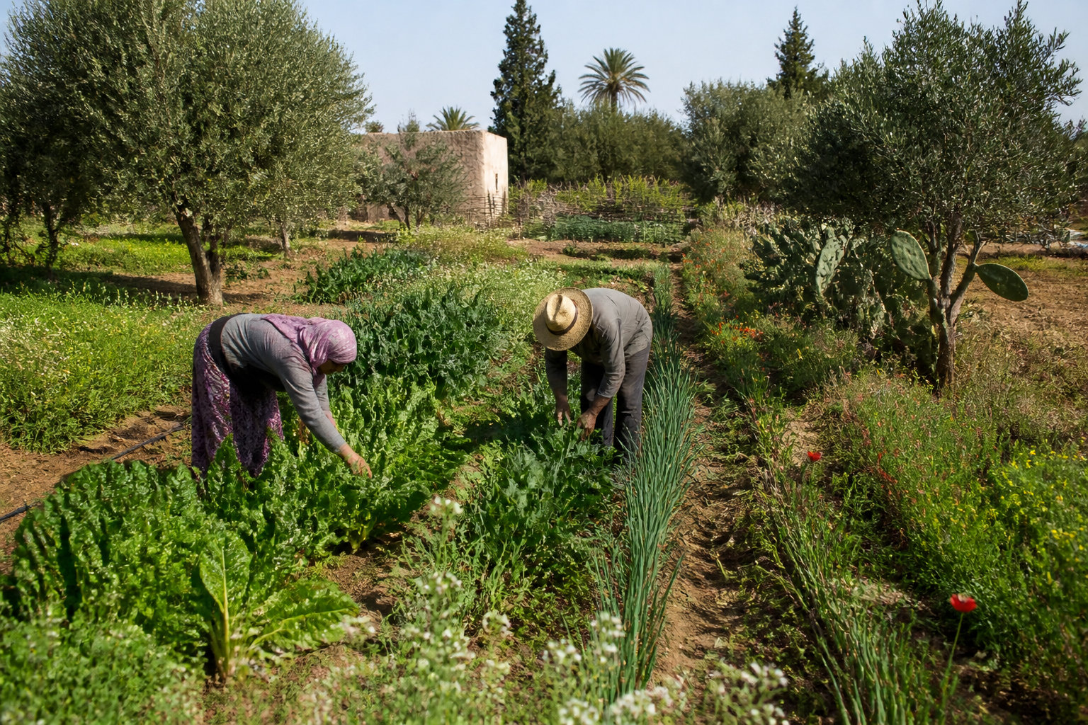 Comment concilier vie sauvage et projet professionnel ?