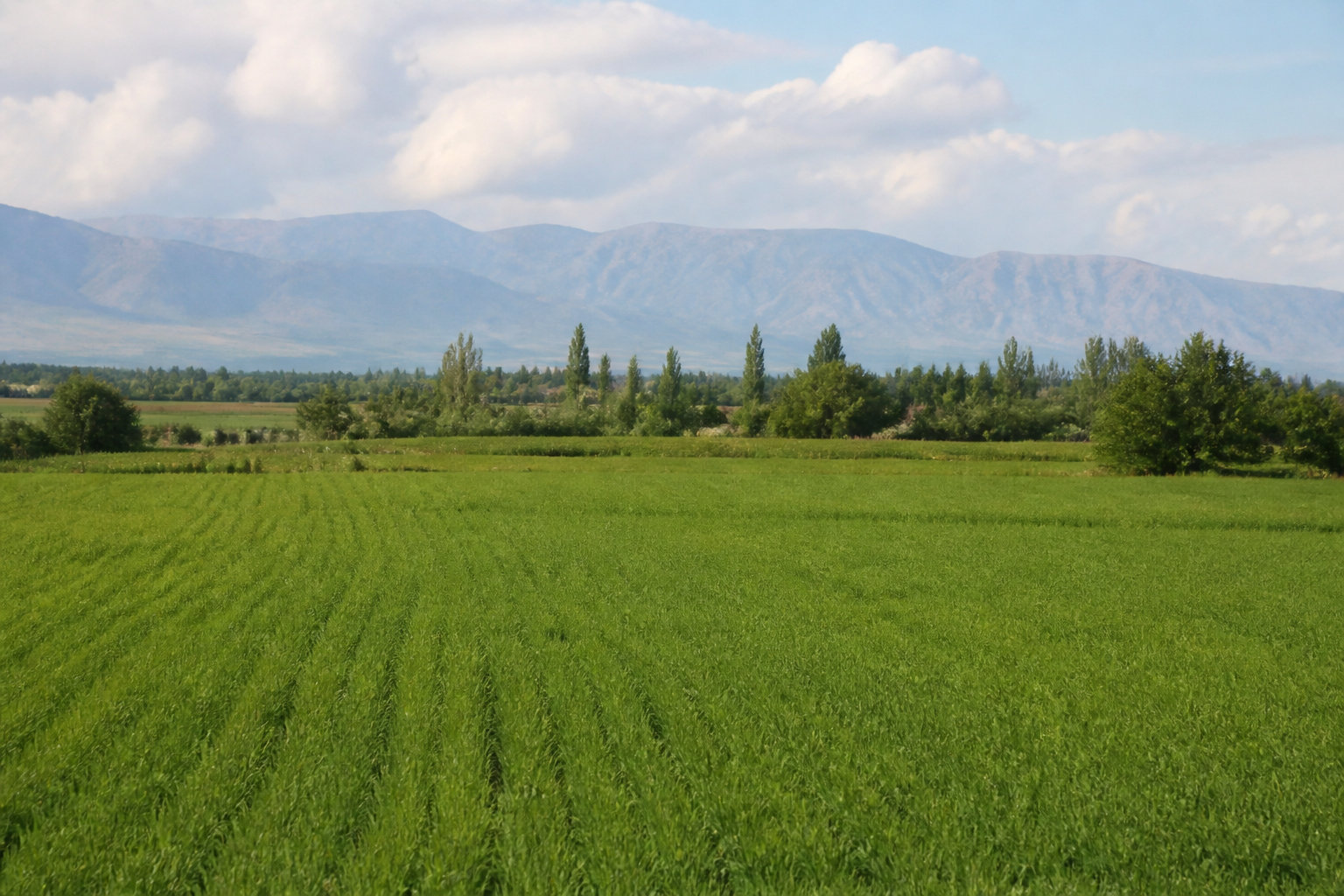 Pourquoi choisir la vallée de Ferghana pour ton installation ?
