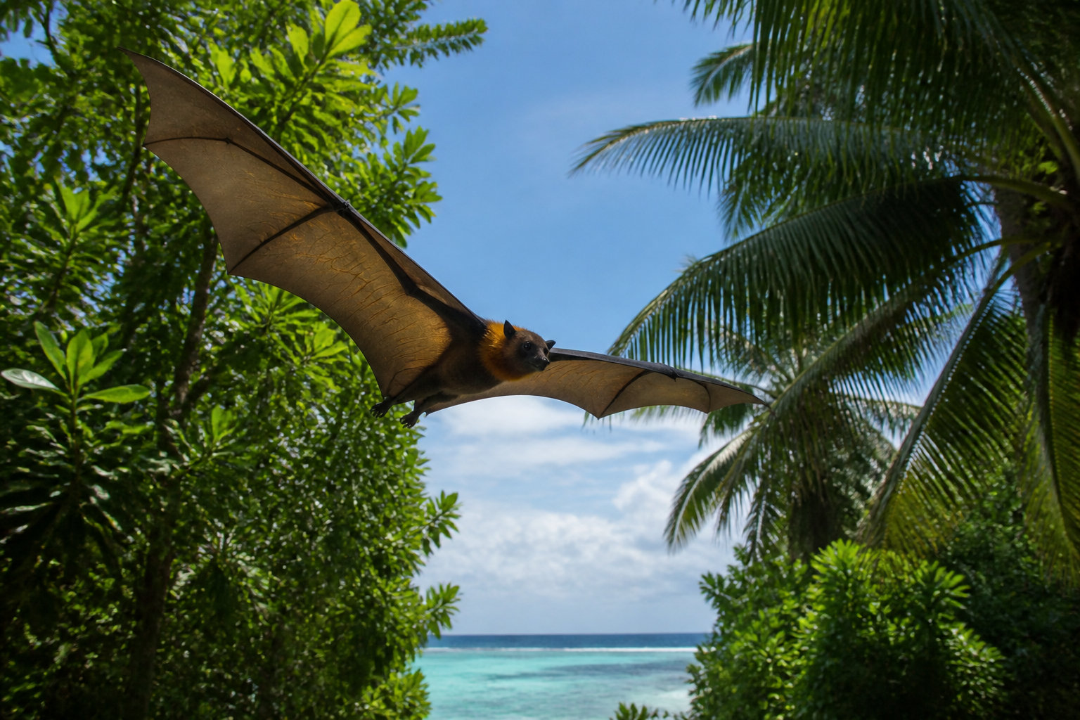 La biodiversité sauvage à portée de main